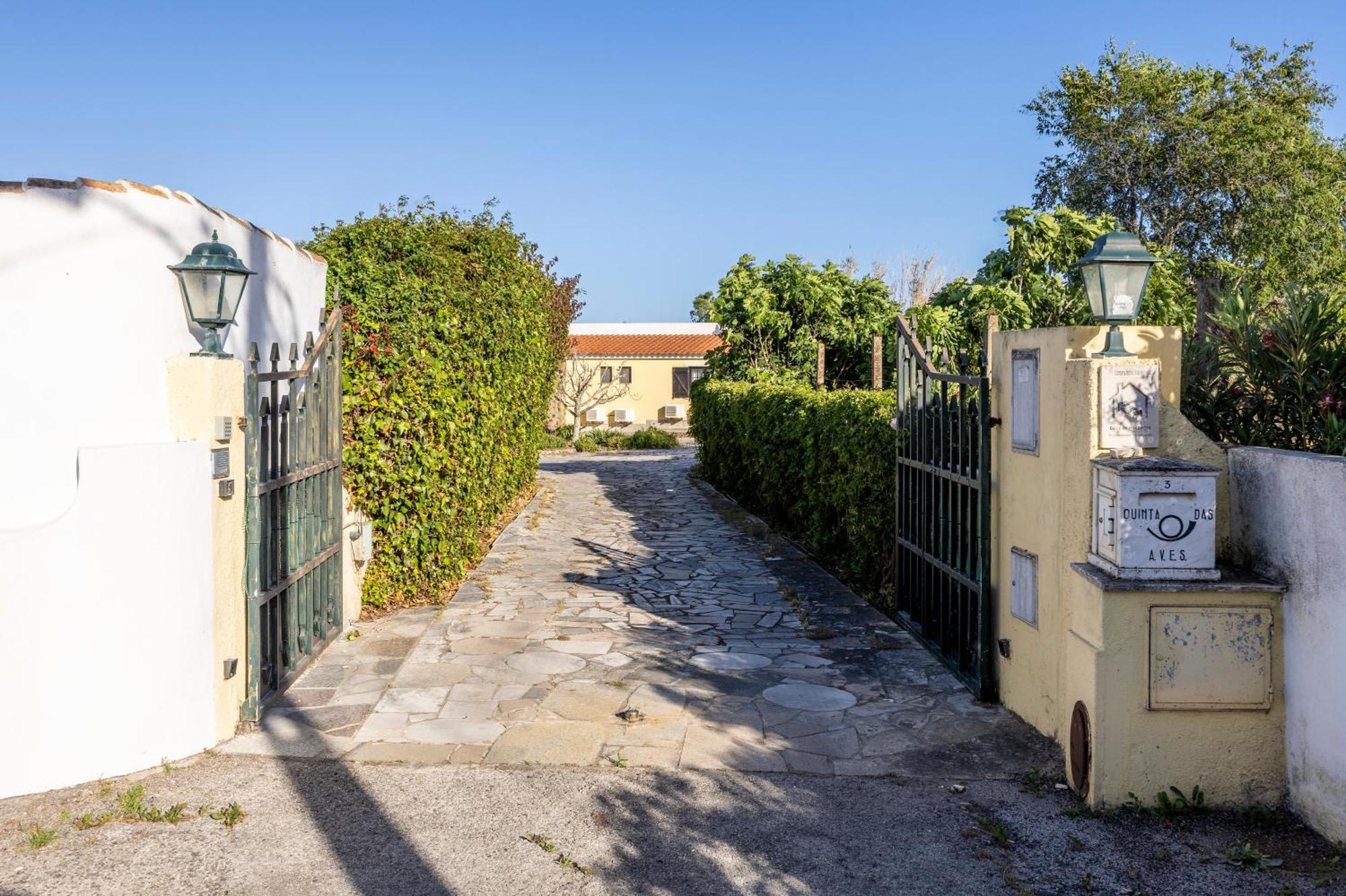 הוילה Pinheiral Quinta Das Aves מראה חיצוני תמונה